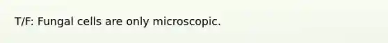 T/F: Fungal cells are only microscopic.