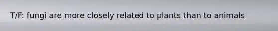 T/F: fungi are more closely related to plants than to animals
