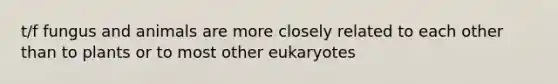 t/f fungus and animals are more closely related to each other than to plants or to most other eukaryotes