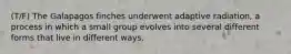 (T/F) The Galapagos finches underwent adaptive radiation, a process in which a small group evolves into several different forms that live in different ways.
