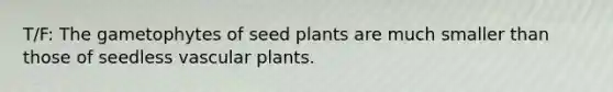 T/F: The gametophytes of seed plants are much smaller than those of seedless vascular plants.