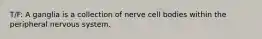 T/F: A ganglia is a collection of nerve cell bodies within the peripheral nervous system.