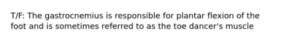 T/F: The gastrocnemius is responsible for plantar flexion of the foot and is sometimes referred to as the toe dancer's muscle