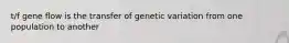 t/f gene flow is the transfer of genetic variation from one population to another