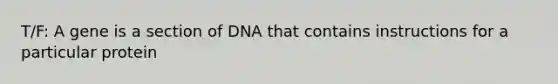 T/F: A gene is a section of DNA that contains instructions for a particular protein