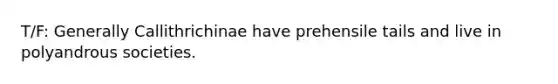 T/F: Generally Callithrichinae have prehensile tails and live in polyandrous societies.
