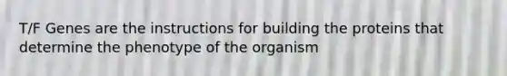 T/F Genes are the instructions for building the proteins that determine the phenotype of the organism