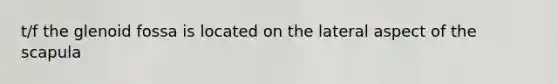 t/f the glenoid fossa is located on the lateral aspect of the scapula