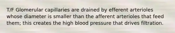 T/F Glomerular capillaries are drained by efferent arterioles whose diameter is smaller than the afferent arterioles that feed them; this creates the high blood pressure that drives filtration.