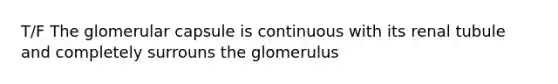 T/F The glomerular capsule is continuous with its renal tubule and completely surrouns the glomerulus