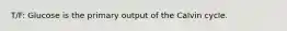 T/F: Glucose is the primary output of the Calvin cycle.