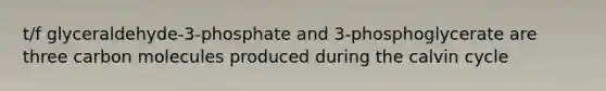 t/f glyceraldehyde-3-phosphate and 3-phosphoglycerate are three carbon molecules produced during the calvin cycle