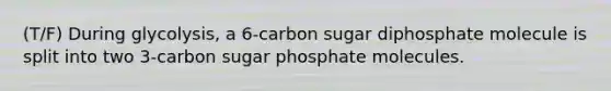 (T/F) During glycolysis, a 6-carbon sugar diphosphate molecule is split into two 3-carbon sugar phosphate molecules.