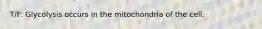 T/F: Glycolysis occurs in the mitochondria of the cell.