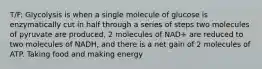 T/F: Glycolysis is when a single molecule of glucose is enzymatically cut in half through a series of steps two molecules of pyruvate are produced, 2 molecules of NAD+ are reduced to two molecules of NADH, and there is a net gain of 2 molecules of ATP. Taking food and making energy