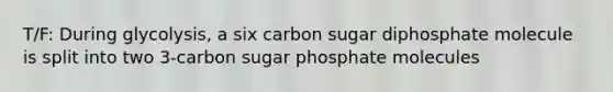 T/F: During glycolysis, a six carbon sugar diphosphate molecule is split into two 3-carbon sugar phosphate molecules