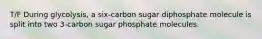 T/F During glycolysis, a six-carbon sugar diphosphate molecule is split into two 3-carbon sugar phosphate molecules.