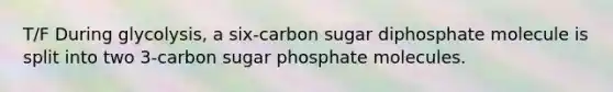 T/F During glycolysis, a six-carbon sugar diphosphate molecule is split into two 3-carbon sugar phosphate molecules.