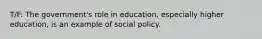 T/F: The government's role in education, especially higher education, is an example of social policy.