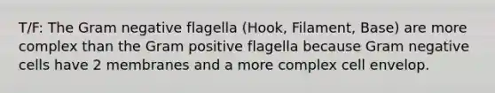 T/F: The Gram negative flagella (Hook, Filament, Base) are more complex than the Gram positive flagella because Gram negative cells have 2 membranes and a more complex cell envelop.