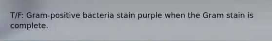 T/F: Gram-positive bacteria stain purple when the Gram stain is complete.