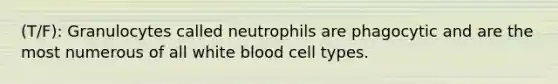 (T/F): Granulocytes called neutrophils are phagocytic and are the most numerous of all white blood cell types.