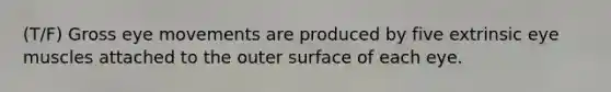 (T/F) Gross eye movements are produced by five extrinsic eye muscles attached to the outer surface of each eye.