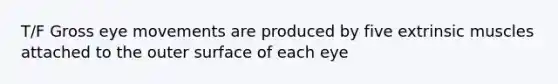 T/F Gross eye movements are produced by five extrinsic muscles attached to the outer surface of each eye