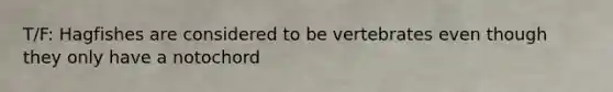 T/F: Hagfishes are considered to be vertebrates even though they only have a notochord