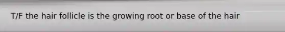 T/F the hair follicle is the growing root or base of the hair