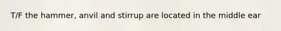 T/F the hammer, anvil and stirrup are located in the middle ear
