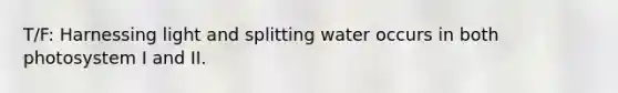 T/F: Harnessing light and splitting water occurs in both photosystem I and II.