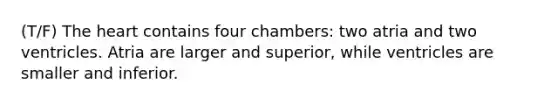 (T/F) The heart contains four chambers: two atria and two ventricles. Atria are larger and superior, while ventricles are smaller and inferior.