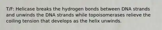 T/F: Helicase breaks the hydrogen bonds between DNA strands and unwinds the DNA strands while topoisomerases relieve the coiling tension that develops as the helix unwinds.