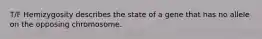 T/F Hemizygosity describes the state of a gene that has no allele on the opposing chromosome.