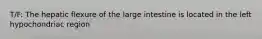 T/F: The hepatic flexure of the large intestine is located in the left hypochondriac region