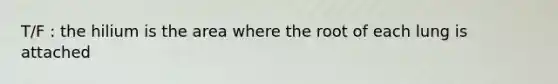 T/F : the hilium is the area where the root of each lung is attached