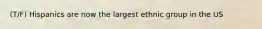 (T/F) Hispanics are now the largest ethnic group in the US