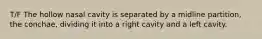 T/F The hollow nasal cavity is separated by a midline partition, the conchae, dividing it into a right cavity and a left cavity.