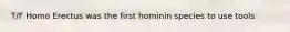 T/F Homo Erectus was the first hominin species to use tools