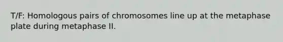 T/F: Homologous pairs of chromosomes line up at the metaphase plate during metaphase II.