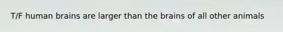 T/F human brains are larger than the brains of all other animals