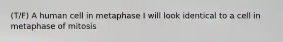 (T/F) A human cell in metaphase I will look identical to a cell in metaphase of mitosis