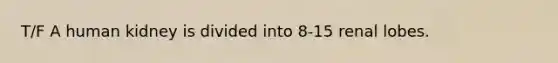 T/F A human kidney is divided into 8-15 renal lobes.