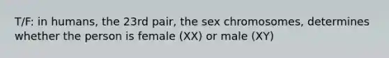 T/F: in humans, the 23rd pair, the sex chromosomes, determines whether the person is female (XX) or male (XY)