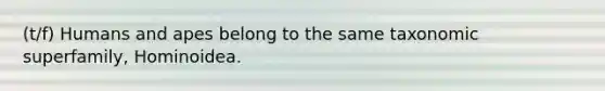 (t/f) Humans and apes belong to the same taxonomic superfamily, Hominoidea.