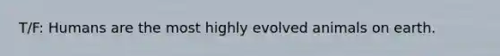 T/F: Humans are the most highly evolved animals on earth.