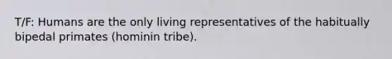 T/F: ​Humans are the only living representatives of the habitually bipedal primates (hominin tribe).