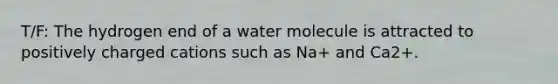 T/F: The hydrogen end of a water molecule is attracted to positively charged cations such as Na+ and Ca2+.