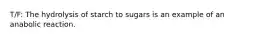 T/F: The hydrolysis of starch to sugars is an example of an anabolic reaction.